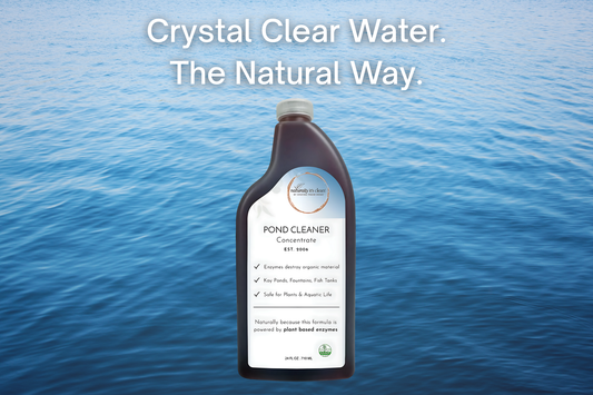 Eco-Friendly Pond Cleaning Made Easy: The Power of Enzyme-Based Pond Cleaner Concentrate