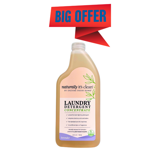 Laundry Detergent Concentrate Lavender 24 oz - CLOSEOUT!!