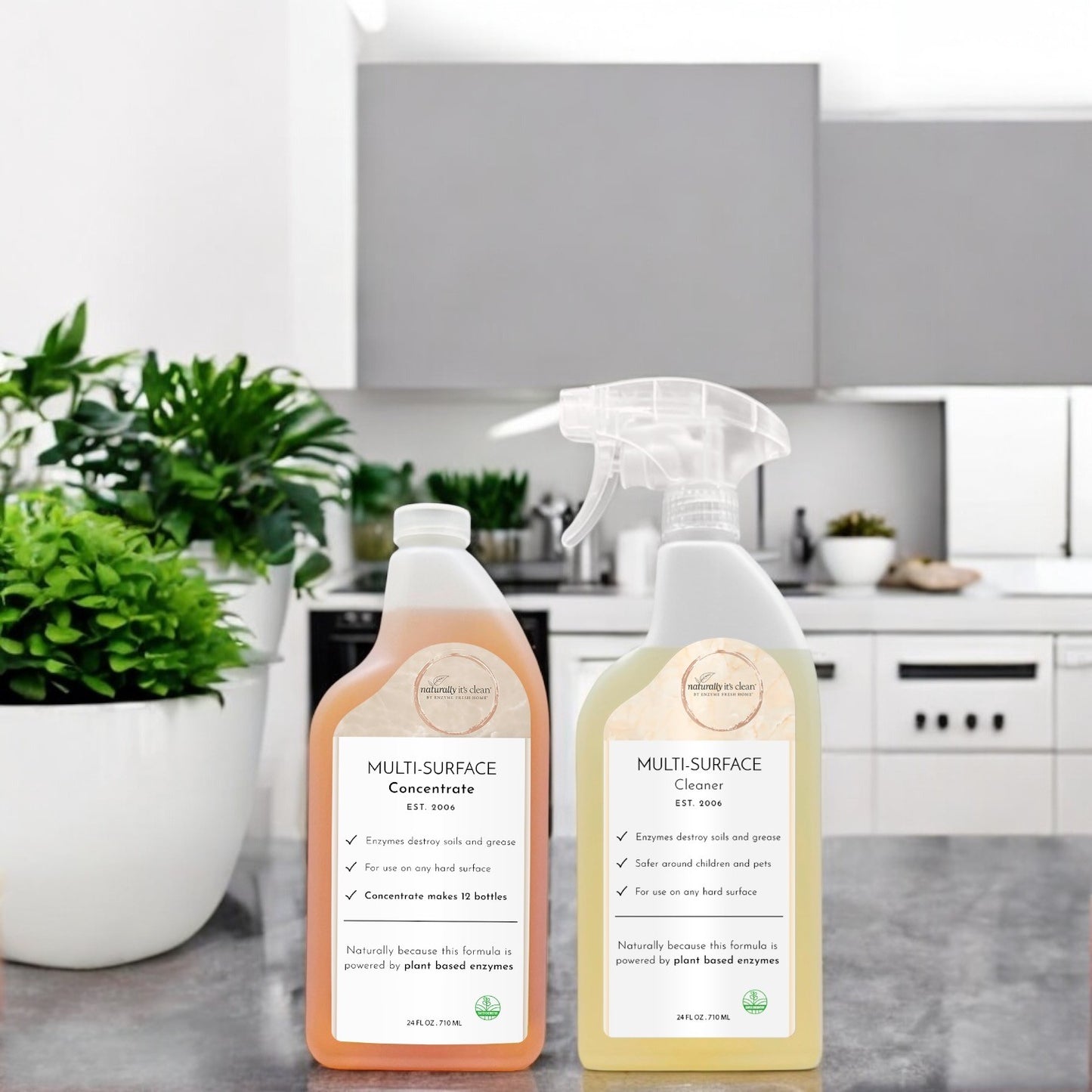 Multi-Surface Kit – 1 Ready-to-Use (24 oz) & 1 Concentrate (24 oz)