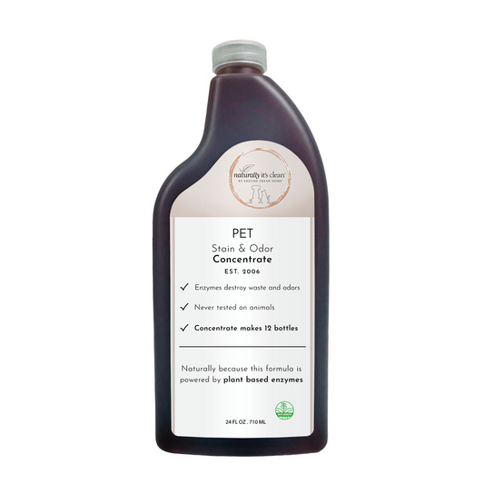 Pet Stain & Odor Remover Concentrate - 24 oz