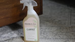 Carpet Stains & Odors Ready-to-Use 24 oz