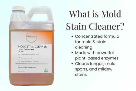 Say Goodbye to Mold Stains. Naturally!