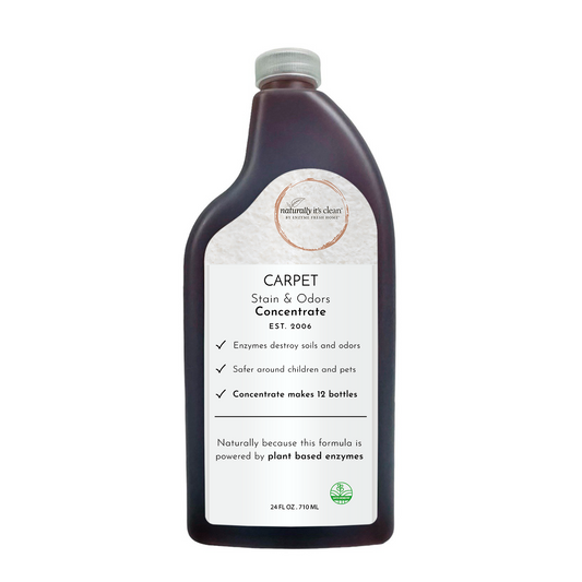 Carpet Stains & Odors Concentrate 24 oz