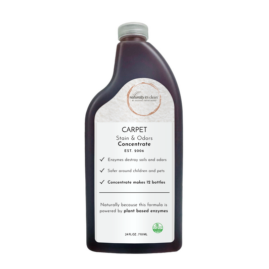 Carpet Stains & Odors Concentrate - 24 oz
