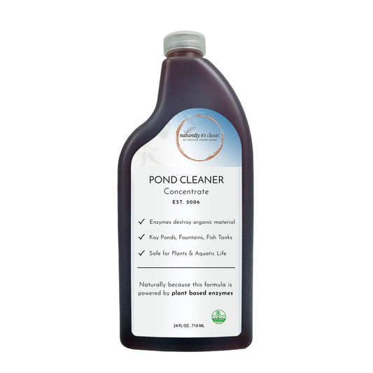 Pond Treatment Concentrate 24 oz